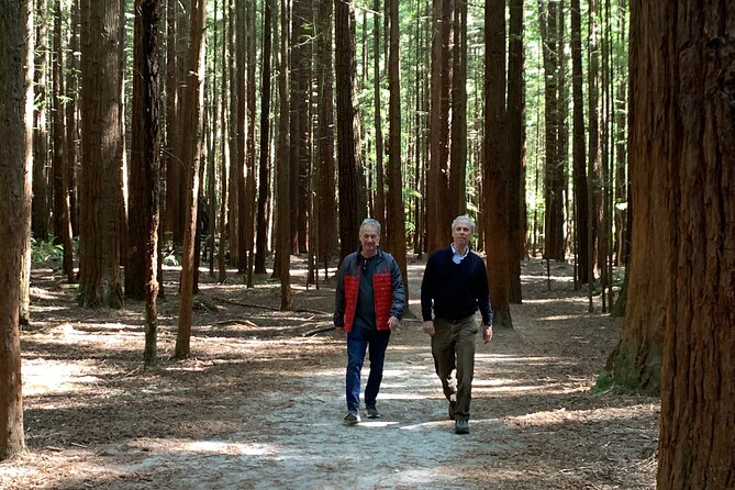 Redwood Forest , Blue Springs & Huka Falls Day Tour from Auckland - Sharma’s guiding style and the small-group setup