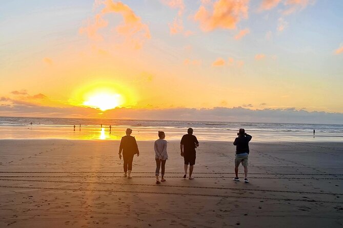 Romantic Auckland Sunset tour with Winery & Thermal pool - Practical details before you reserve