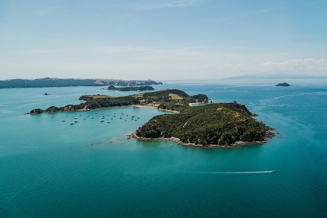 Rotoroa Island Ferry - from Auckland - Four to Five Hours on a Predator-Free Island