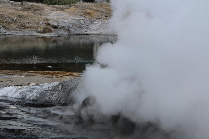 Rotorua and Waitomo Caves Day Trip from Auckland -Smaller Groups - Waitomo Glowworm Caves: the day’s main event