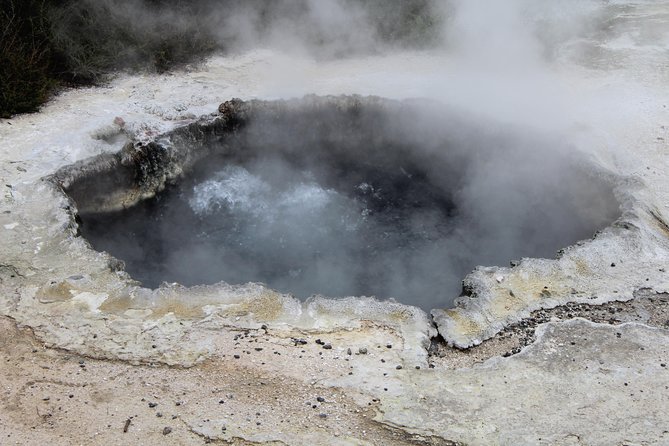 Rotorua and Waitomo Caves Day Trip from Auckland -Smaller Groups - Why the guide matters so much