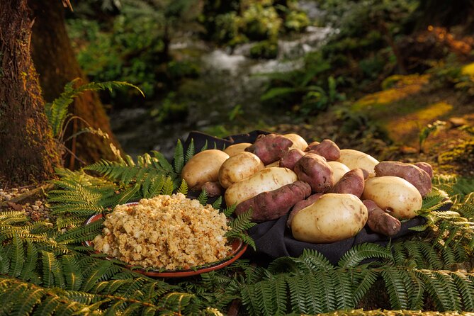 Rotorua Cultural & Geothermal Small Group Tour From Auckland - What the $294.77 price really covers