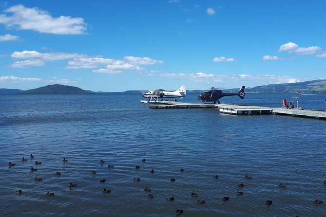 Rotorua Full Day Private Tour from Auckland - Is the $216.58 price good value?