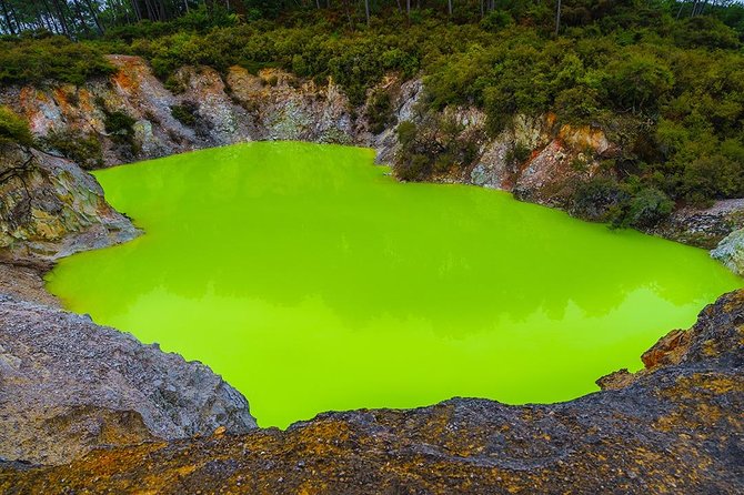Rotorua Highlights inc. Waiotapu & Te Puia Day Tour from Auckland - Rotorua in a 15-minute city overview