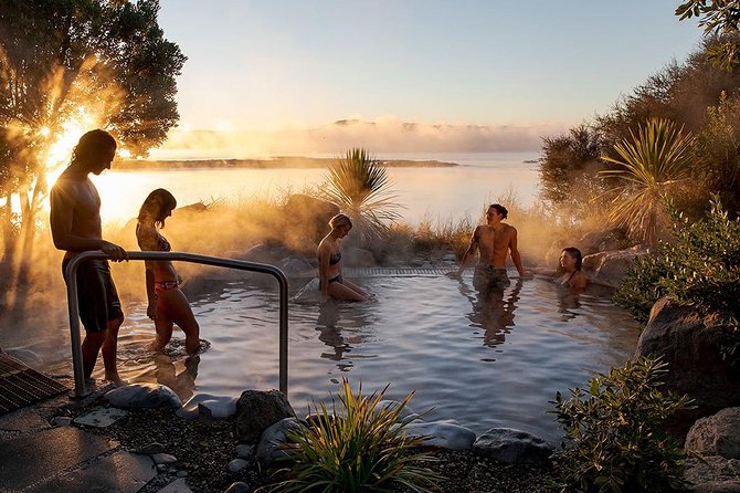Rotorua Highlights Tour from Auckland with Optional Extras - Te Puia brings Māori culture into the day