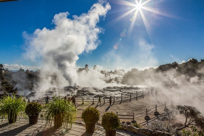 Rotorua Highlights Tour inc. Te Puia Tour, Lunch & Cultural Show - Waikato countryside and the road to Rotorua