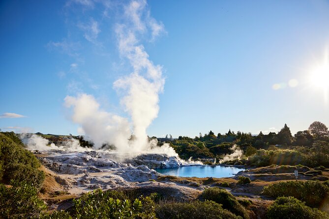 Rotorua Māori Village and Activity Combinations from Auckland - Who should book this Rotorua experience?