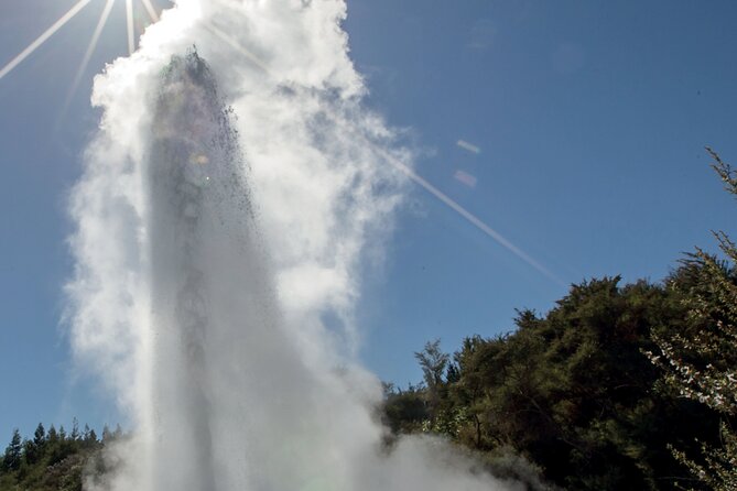 Rotorua Māori Village and Activity Combinations from Auckland - Choosing your Rotorua afternoon