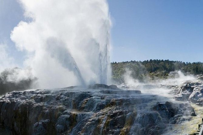 Rotorua Small-Group Day Tour from Auckland - The long ride from Auckland to Rotorua