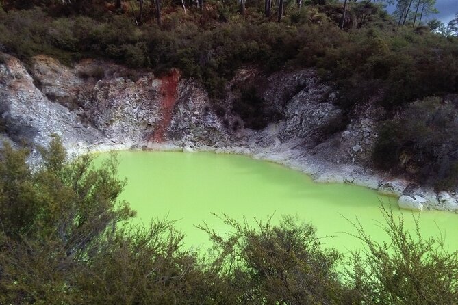 Rotorua Small-Group Day Tour from Auckland - Lake Rotorua and the city
