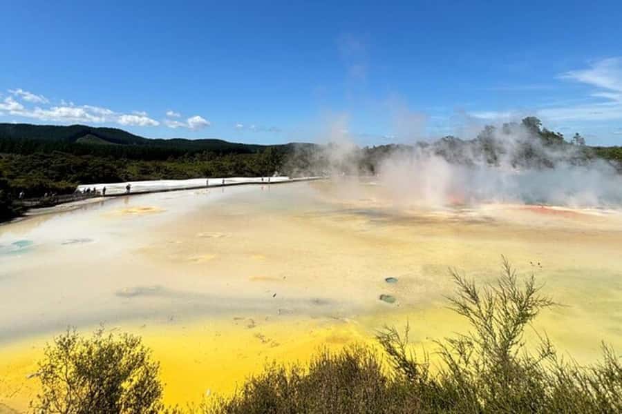 Rotorua & Taupo DayTour Waiotapu & Huka Falls from Auckland - Lady Knox Geyser adds a second Rotorua highlight