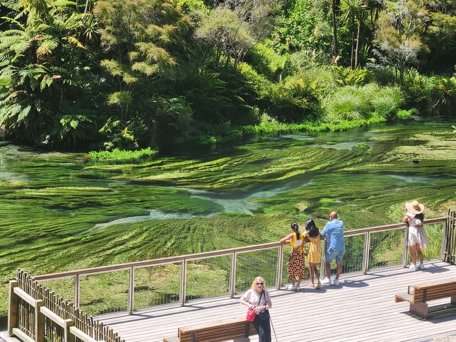 Rotorua & Taupo DayTour Waiotapu & Huka Falls from Auckland - Huka Falls: fast water and a memorable color