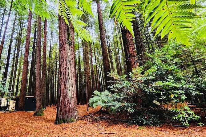 Rotorua & Taupo DayTour with Waiotapu & Huka Falls from Auckland - Huka Falls and the force of the Waikato River