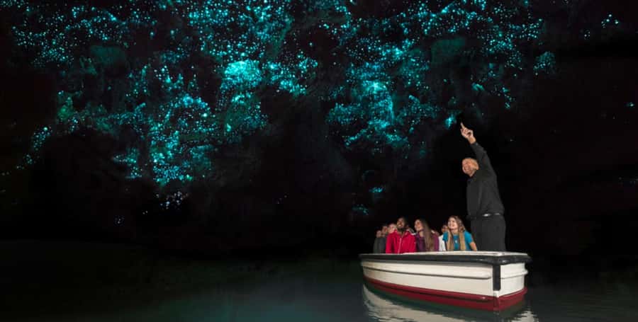 Rotorua to Auckland - Afternoon Transfer with Waitomo Caves - Leaving Rotorua in a small group