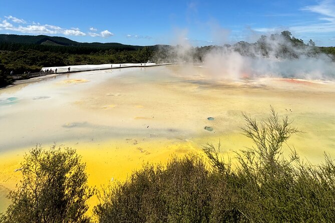 Rotorua: WaiOtapu & Redwood forest & Blues springs from Auckland - Is this the right way to see Rotorua from Auckland?