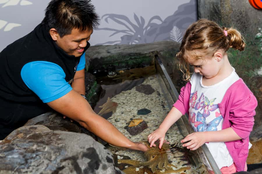Sea Life Kelly Tarlton's Aquarium General Admission - Practical booking advice