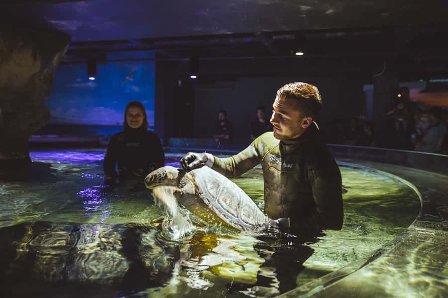 Sea Life Kelly Tarlton's Aquarium General Admission - Who will enjoy this aquarium most?