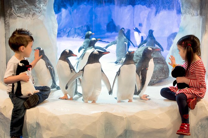 SEA LIFE Kelly Tarlton's General Admission - Penguins First, Then the Underwater Tunnel