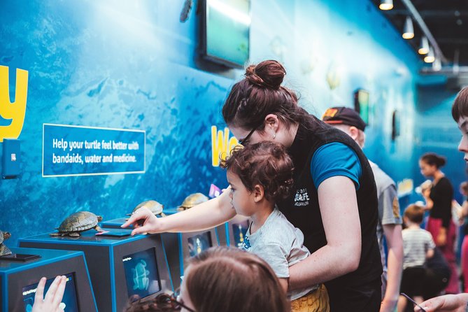 SEA LIFE Kelly Tarlton's General Admission - A Good Choice for Families, Mixed Ages, and Rainy Days