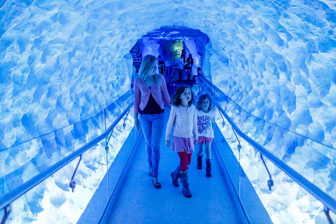 SEA LIFE Kelly Tarlton's General Admission - Getting There From Auckland CBD