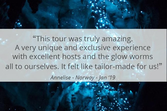 See Auckland's Secret Glow Worms - Following the torchlight bush track