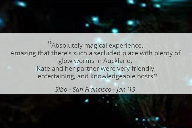 See Auckland's Secret Glow Worms - What your guide adds to the night