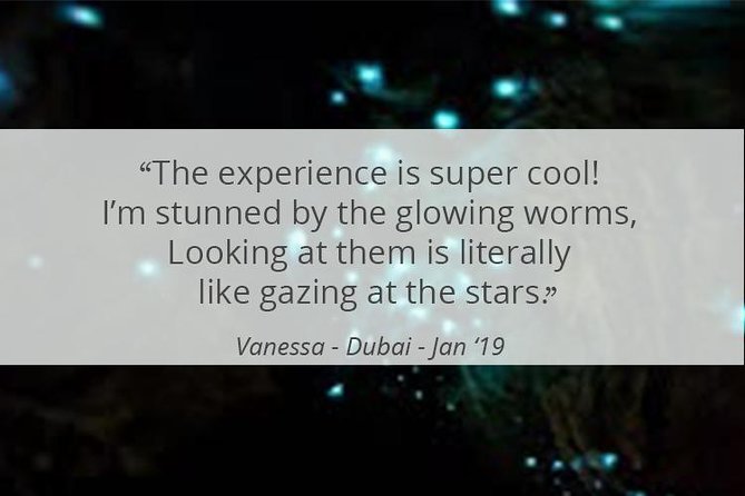 See Auckland's Secret Glow Worms - Is $77.57 a fair price?