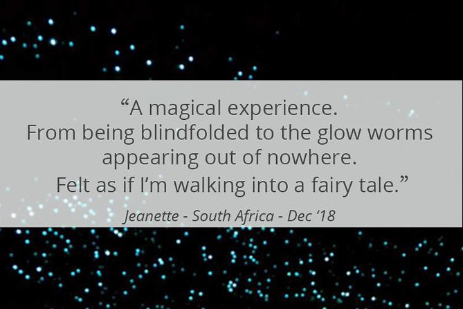 See Auckland's Secret Glow Worms - Who will enjoy this Auckland glowworm outing?