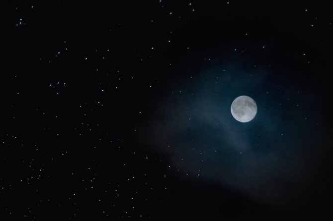 See Auckland's Secret Glow Worms - Timing, weather, and practical preparation