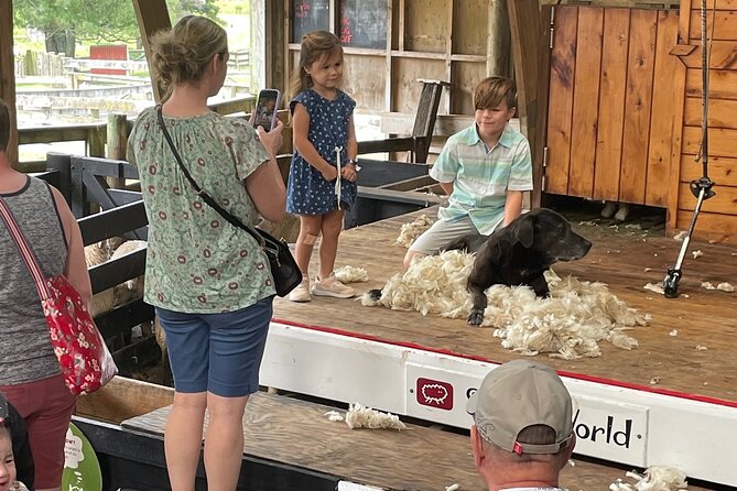 Sheep World Country Tour from Auckland - Practical tips for a smoother day