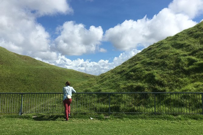 Shore Excursion: Half-Day Auckland Volcanoes Tour - Guide Mike adds value through geology and local history