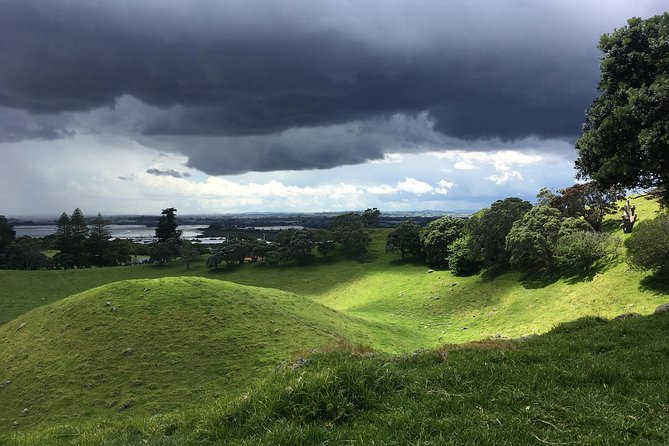 Shore Excursion: Half-Day Auckland Volcanoes Tour - How the small vehicle and schedule work
