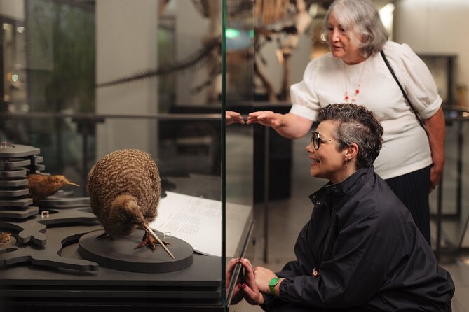 Skip the Line: Auckland Museum General Admission Ticket - Pacific culture beyond New Zealand