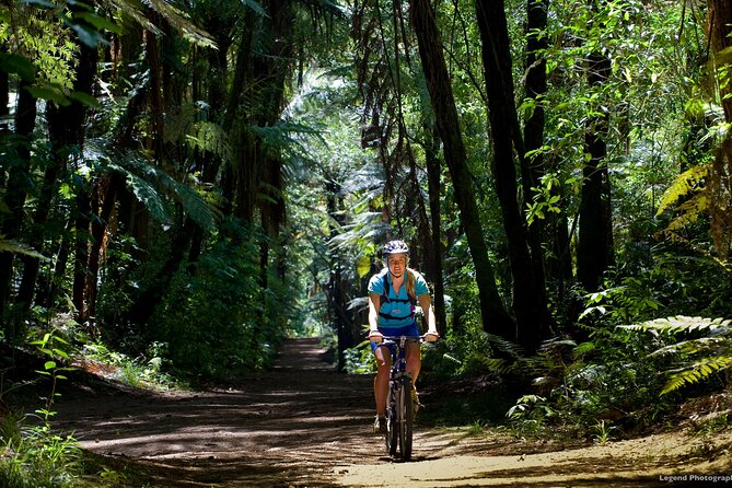Small Group Northern Voyager 7 Days Tour - Why this North Island route works