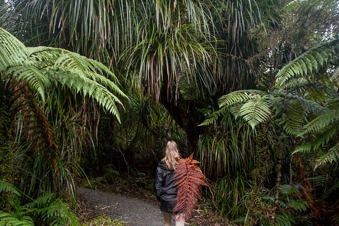 Small Group Northern Voyager 7 Days Tour - Day 7: Raglan’s black-sand beaches and Auckland