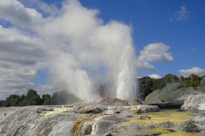 Small Group Waitomo and Rotorua including Te Puia Tour - Key points to know before you book