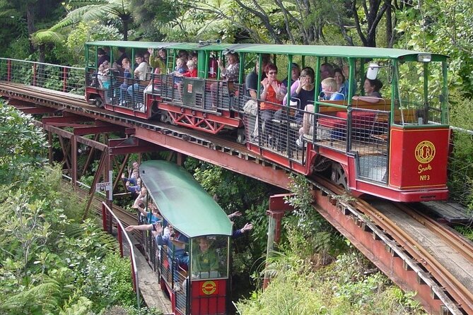 [Stevong Travel] West Coromandel Day Tour - Thames Goldmine Experience: two hours underground in spirit