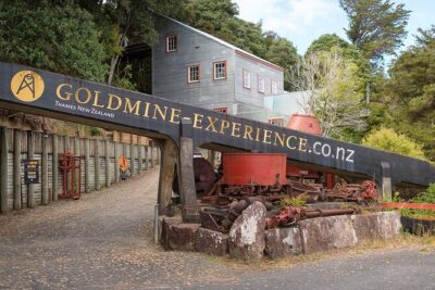 [Stevong Travel] West Coromandel Day Tour