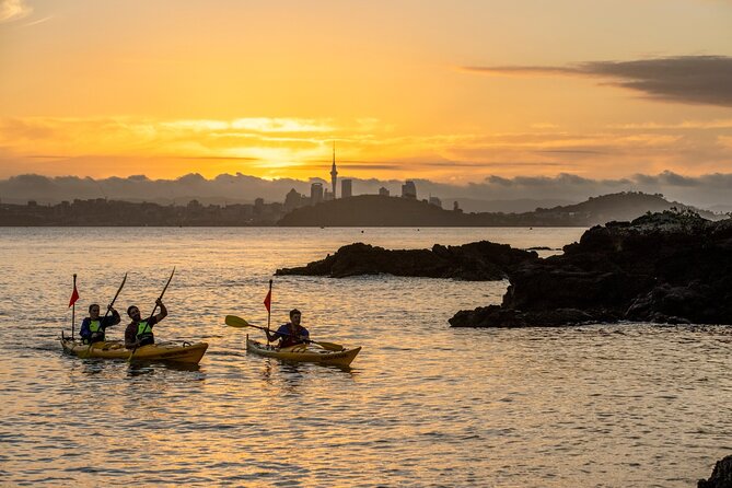 Sunset kayak tour to Rangitoto Island - Why this evening works so well in Auckland