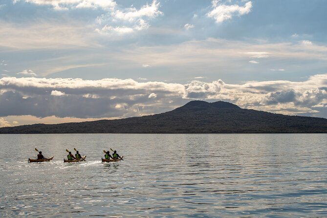 Sunset kayak tour to Rangitoto Island - The night paddle back to Auckland