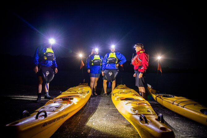 Sunset kayak tour to Rangitoto Island - How difficult is the tour really?