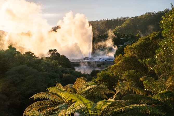 Te Puia Rotorua Experience with Optional Activities – Ex Auckland - Is $201.69 good value for this day?