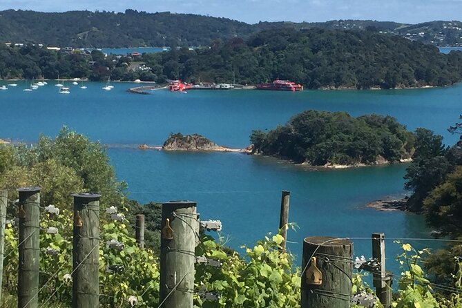 The Boutique Experience: Waiheke Best Cellar Tour (11 guests max) - A wine day that also shows you Waiheke