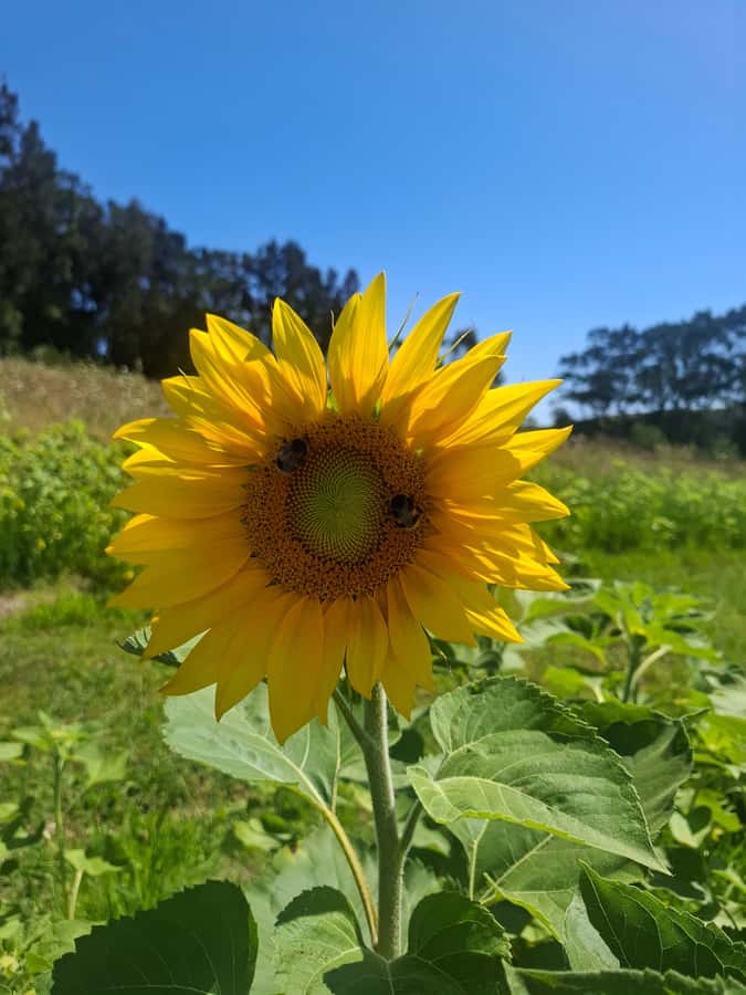 The Boutique Experience: Waiheke Island Best Cellar Tour - Is $124 good value?