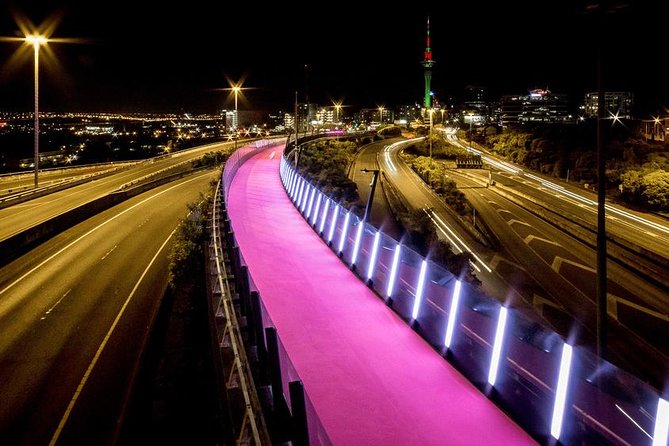 The City Lights: a unique electric bike tour of Auckland by night! - Auckland’s city lights from a bicycle seat