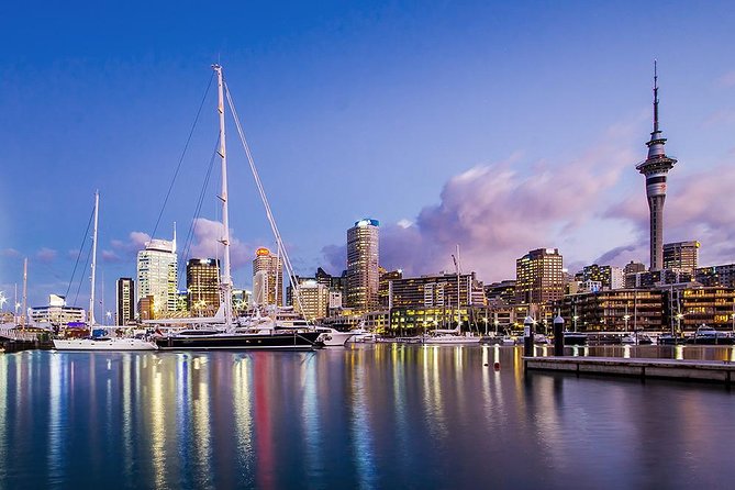 The City Lights: a unique electric bike tour of Auckland by night! - Wynyard Quarter and Silo Park after dark