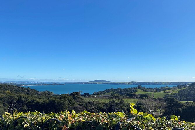 The Essence of Waiheke Wine Tour - Kennedy Point Vineyard: a different side of the island’s wine scene