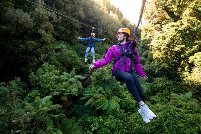 The Ultimate Canopy Zipline Experience Private Tour From Auckland - Key points to know before booking