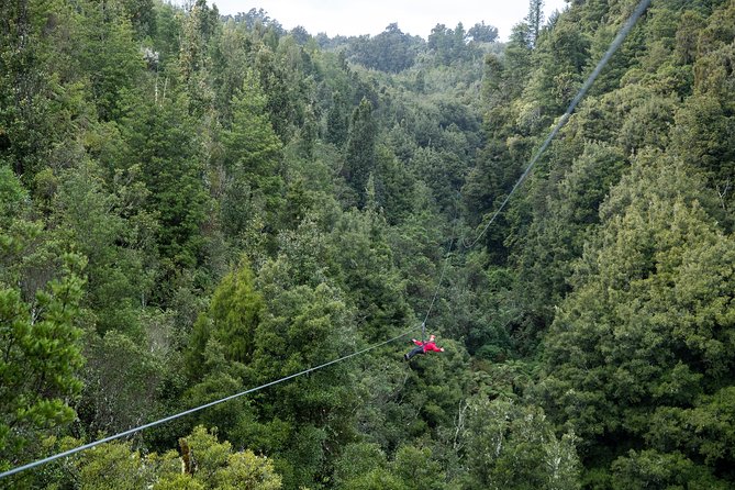 The Ultimate Canopy Zipline Experience Private Tour From Auckland - Why this is more than a standard zipline