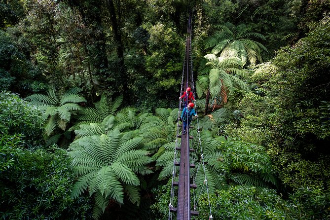 The Ultimate Canopy Zipline Experience Private Tour From Auckland - Bombay Hills, coffee, and Tirau on the way